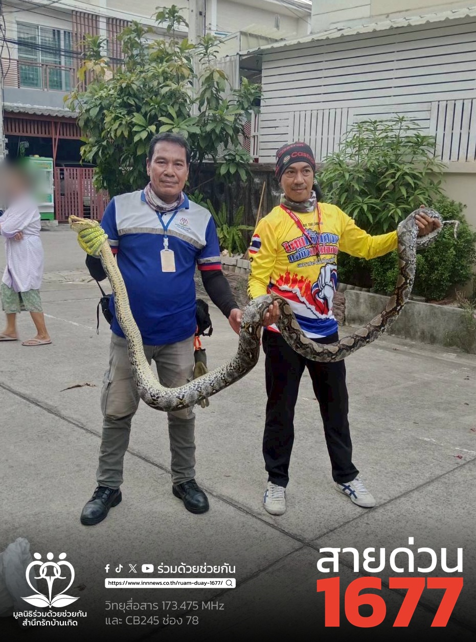 งูเหลือม ยาว 2 เมตร เลื้อยเข้าบ้าน ซอยรามอินทรา 117