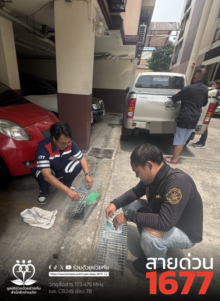 จับแมวติดอยู่ใต้ท้องรถ ซอยประดิพัทธ์ 23