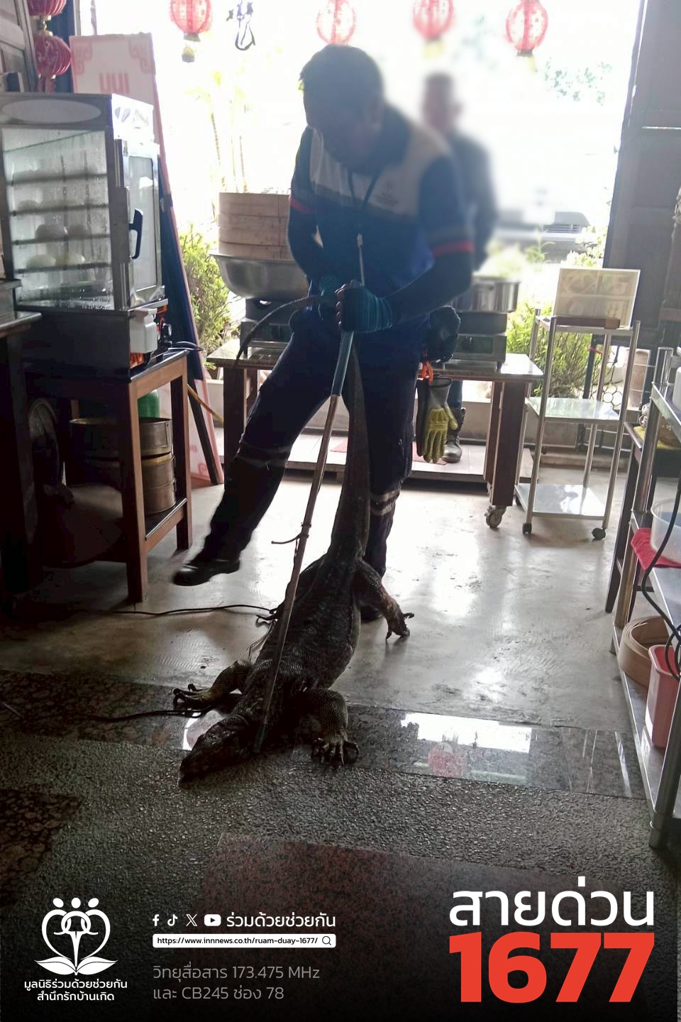 ตัวเงินตัวทองเข้าร้านซาลาเปา ถนนสุวินทวงศ์