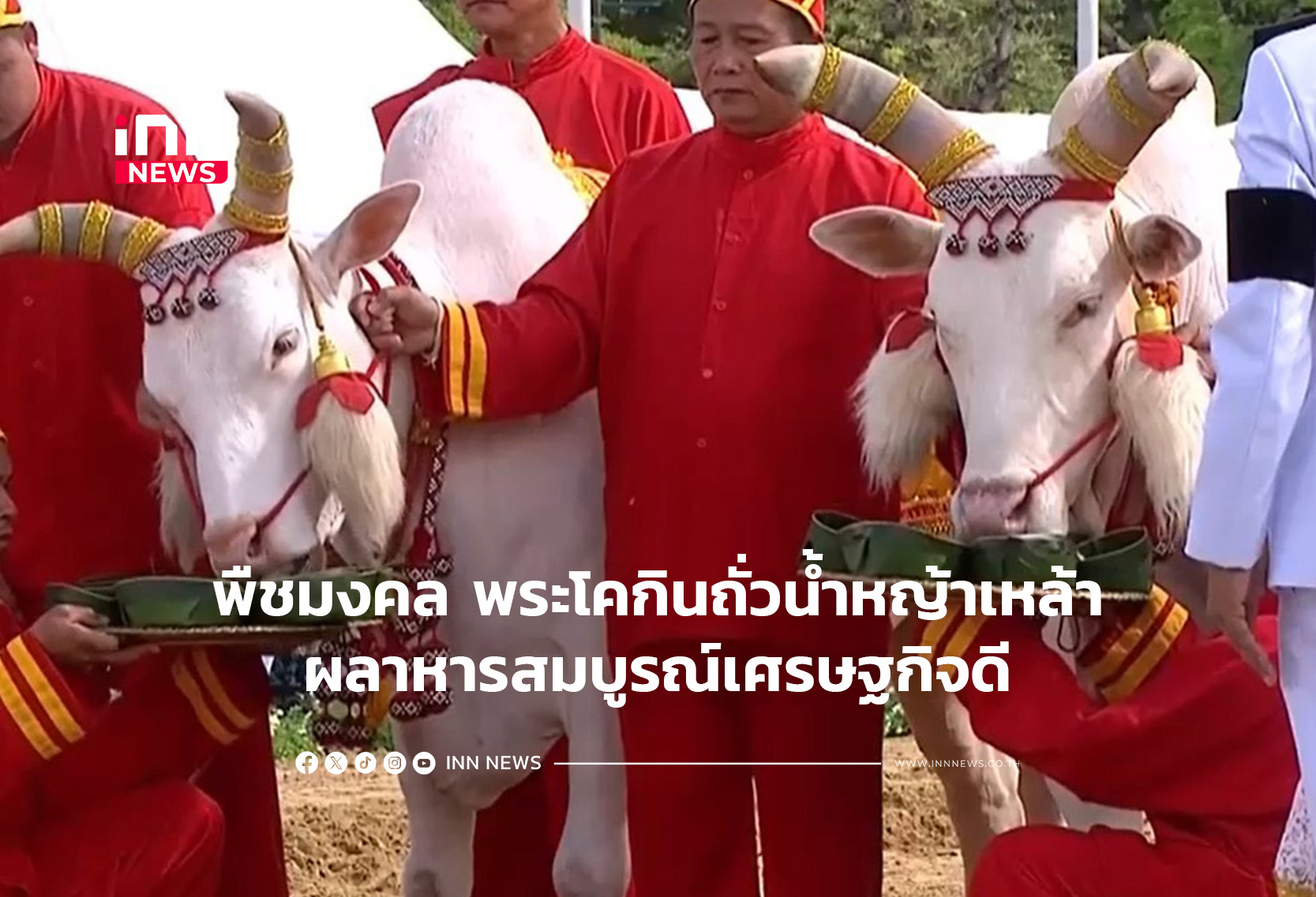พืชมงคล พระโคกินถั่วหญ้าเหล้าผลาหารสมบูรณ์เศรษฐกิจดี
