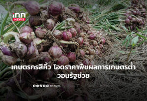 เกษตรกรสีคิ้ว โอดราคาพืชผลการเกษตรต่ำ วอนรัฐช่วย