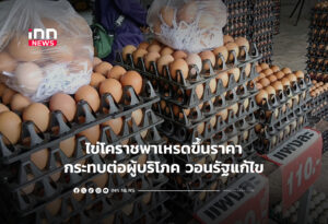 ไข่โคราชพาเหรดขึ้นราคากระทบต่อผู้บริโภค วอนรัฐแก้ไข